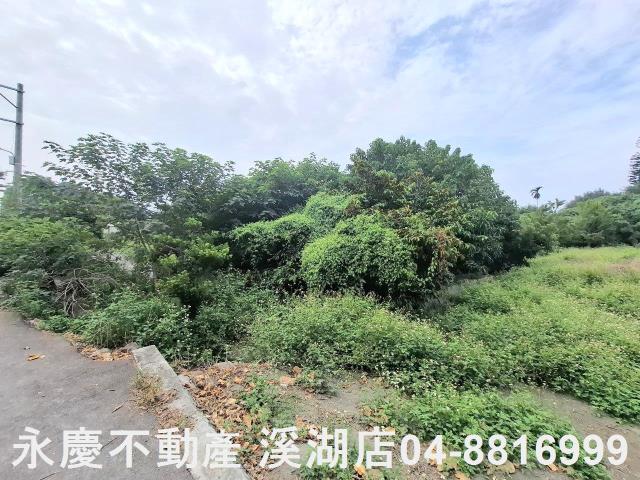 彰化田尾建地-3