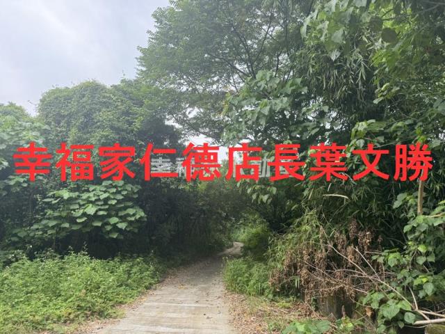 台南新化農地-6