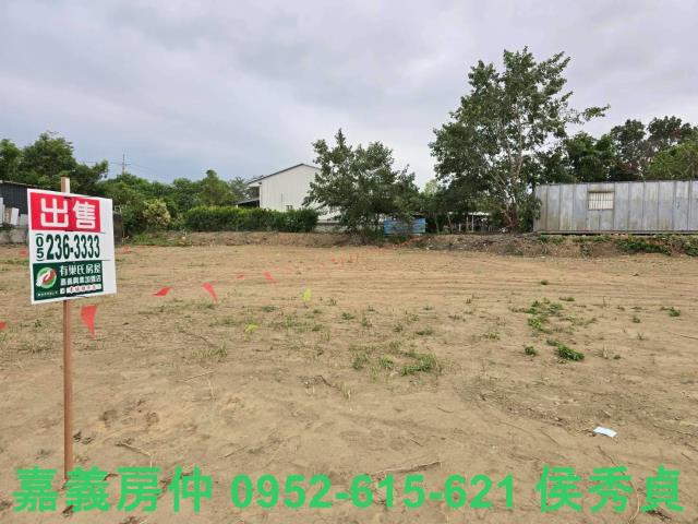 嘉義東區農地-5