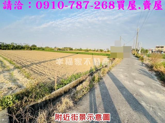 安定農地-3