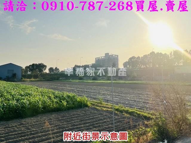 安定農地-8