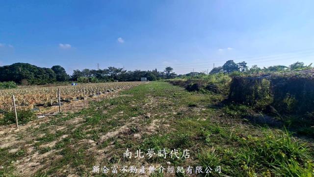 台南農地-4