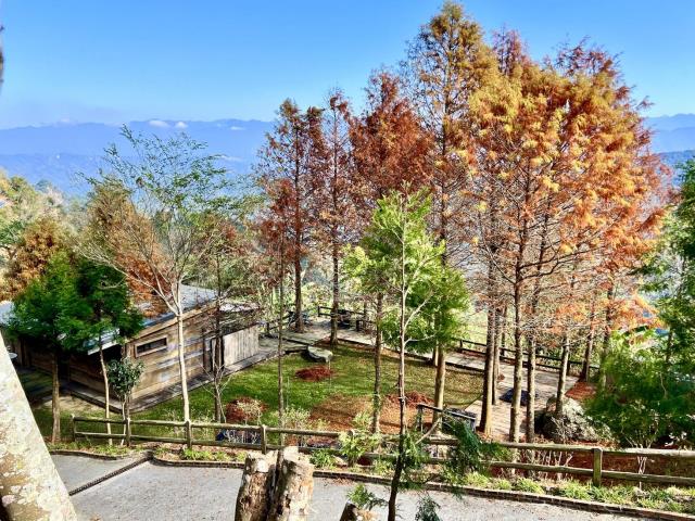 南投國姓農地-3