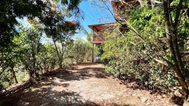 新竹峨眉林地-11