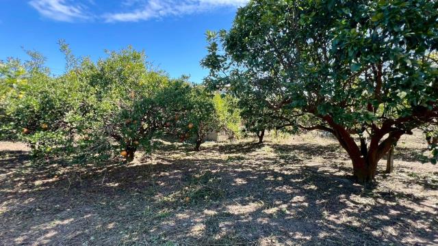 苗栗頭份農地-12