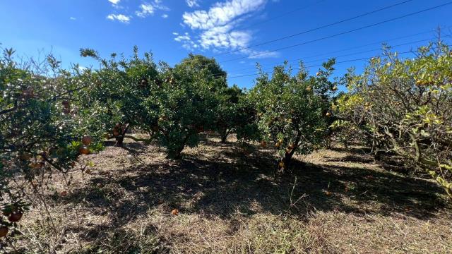 苗栗頭份農地-15