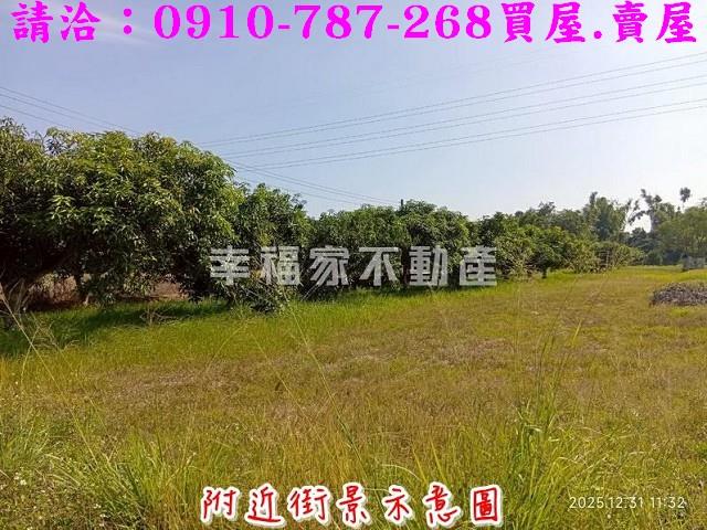 台南新市農地-3