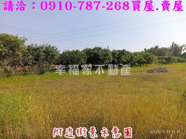 台南新市農地-8