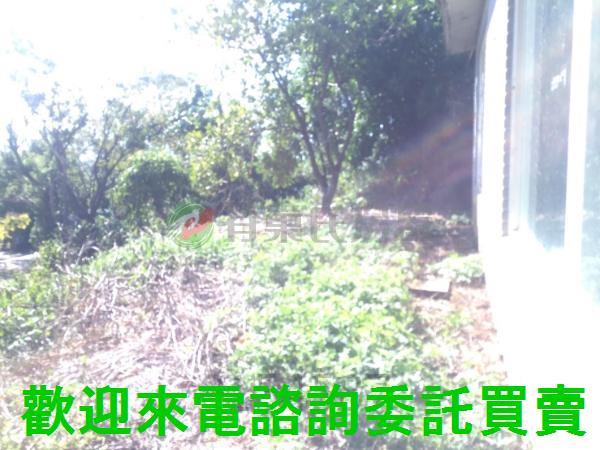 台北北投農地-14