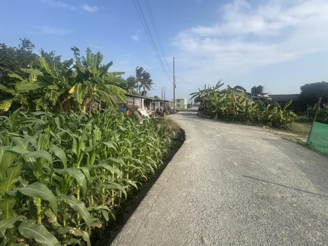 高雄路竹農地-3