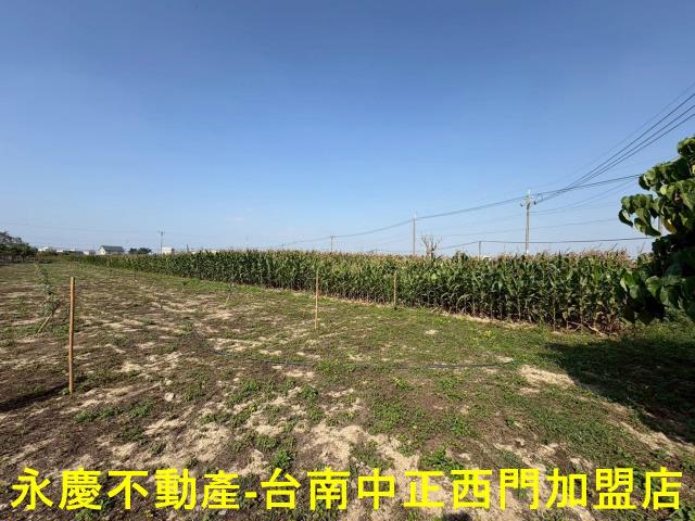 鹽水農地-14
