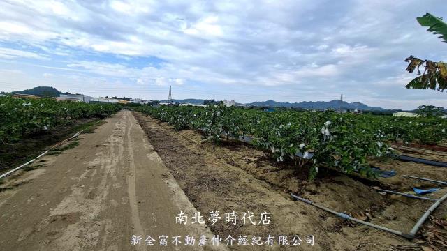 高雄農地-8