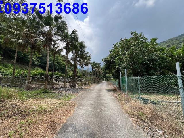 宜蘭員山農地-1