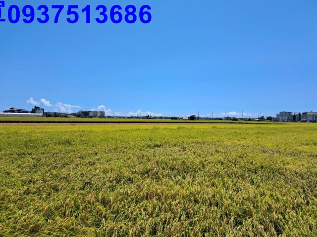 宜蘭壯圍農地-6