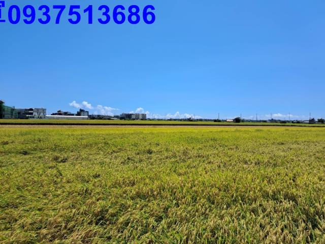 宜蘭壯圍農地-7