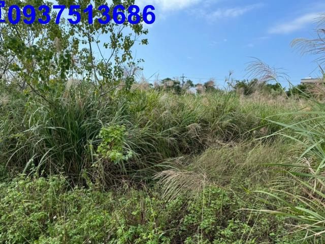 宜蘭壯圍農地-9