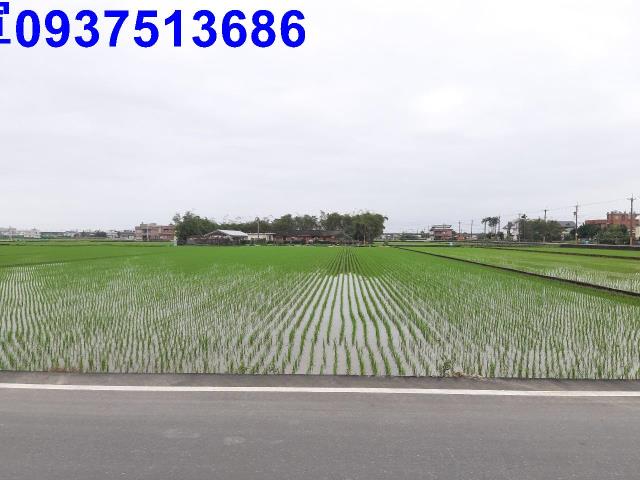 宜蘭礁溪農地-6