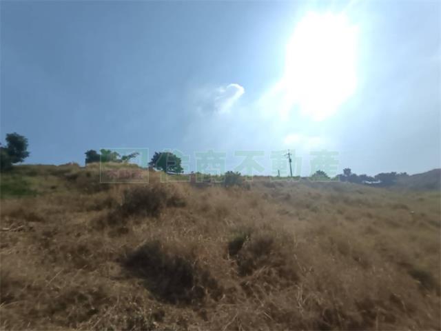 高雄大樹農地-11