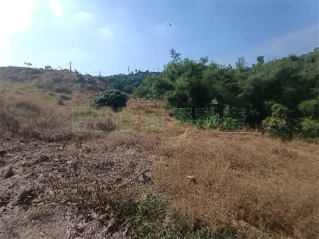 高雄大樹農地-14