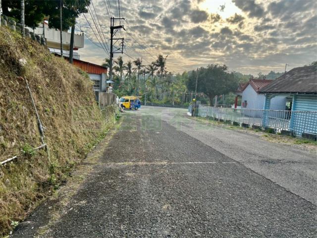 高雄仁武農地-5