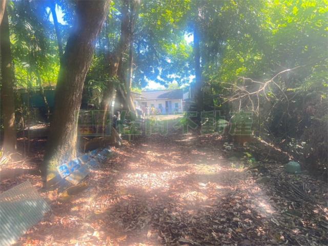 高雄內門農地-8