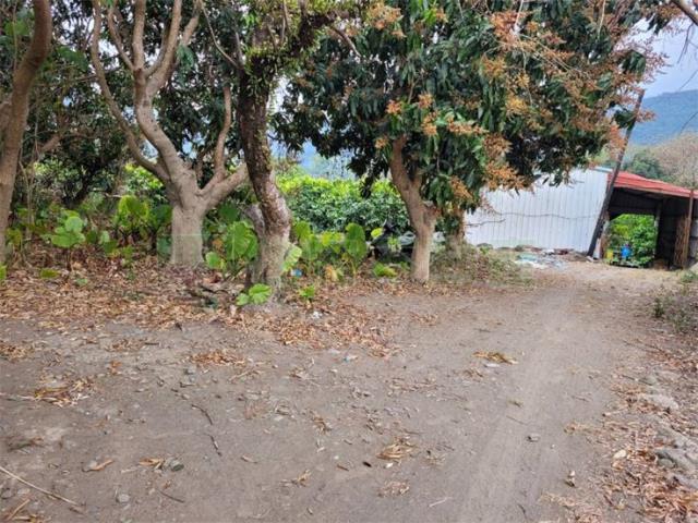 高雄六龜農地-11