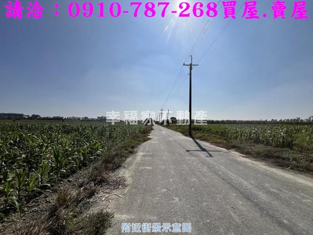 善化農地-4