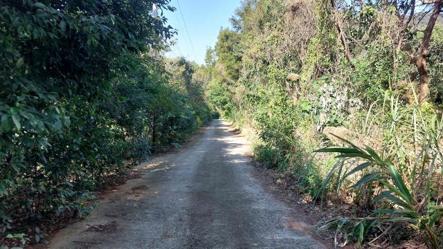 新竹新埔農地-3