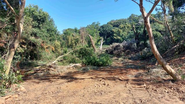 新竹新埔農地-7