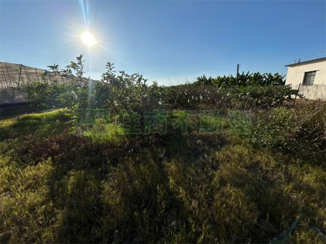 高雄美濃農地-8