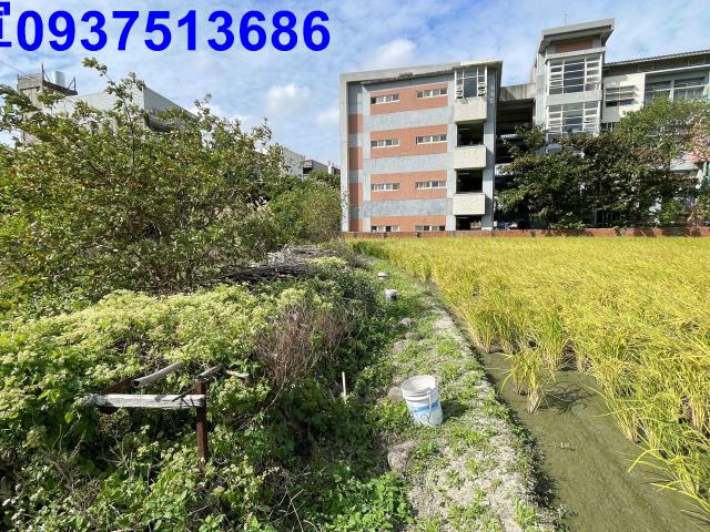 新竹竹北農地-5