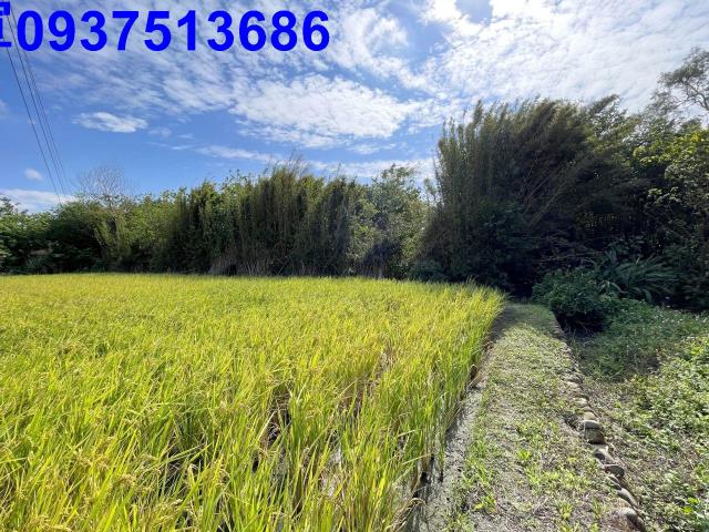 新竹竹北農地-6