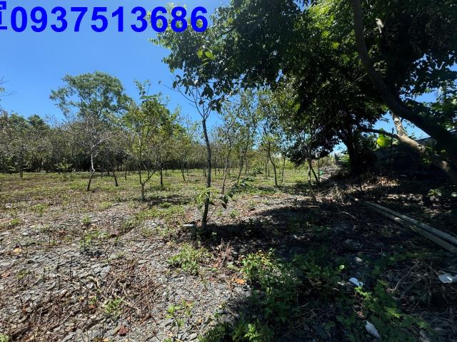 宜蘭礁溪農地-11