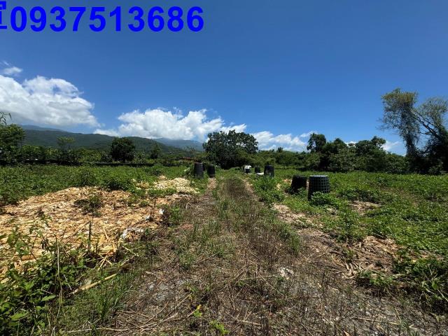 宜蘭礁溪農地-6