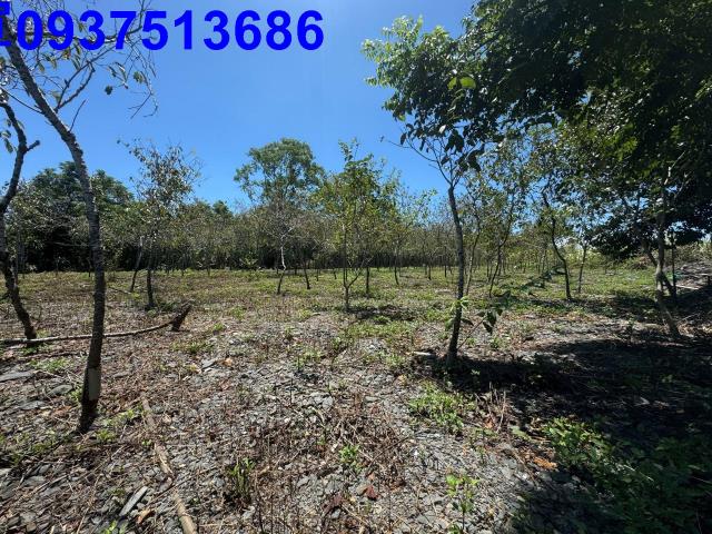 宜蘭礁溪農地-10