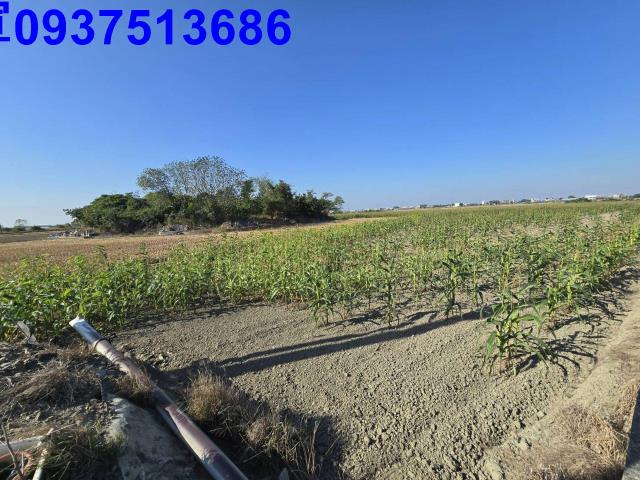 嘉義新港農地-1