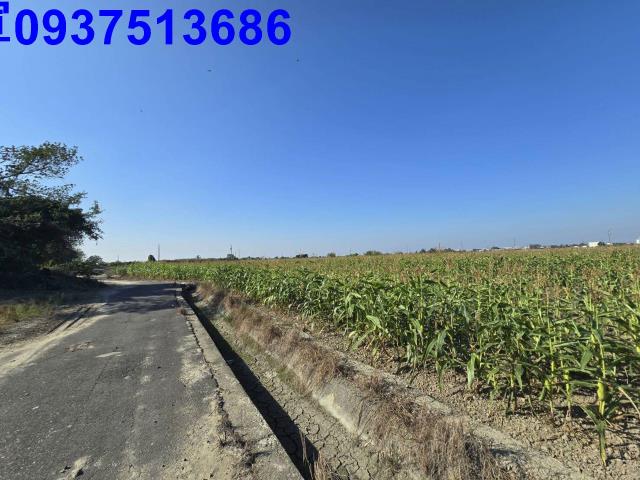 嘉義新港農地-8