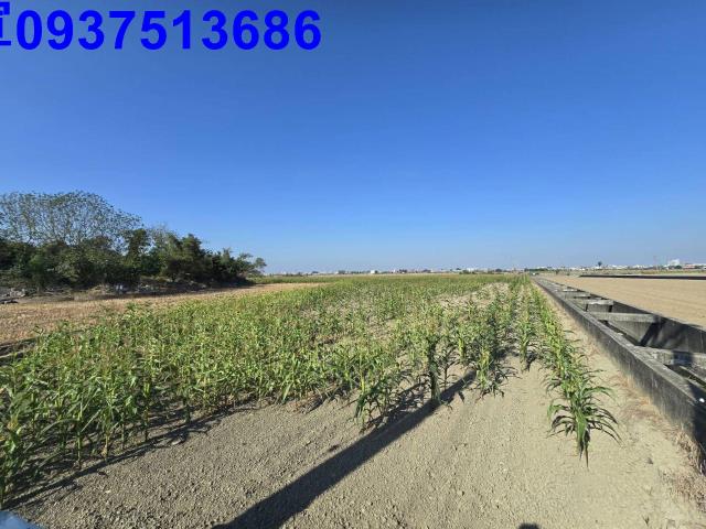 嘉義新港農地-9