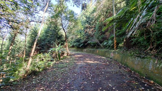 新竹橫山農地-3