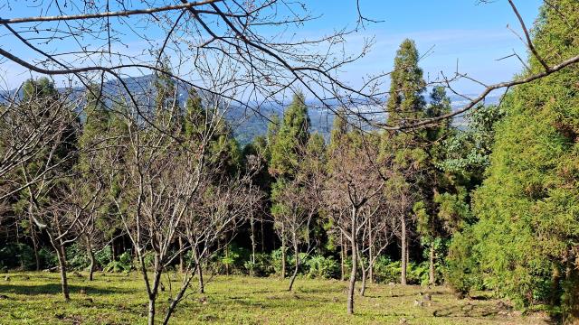新竹橫山農地-5