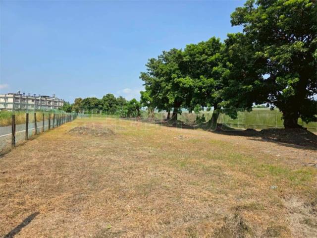 屏東高樹農地-14