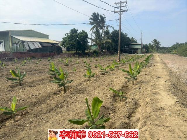 高雄路竹農地-10