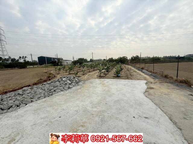 高雄路竹農地-4