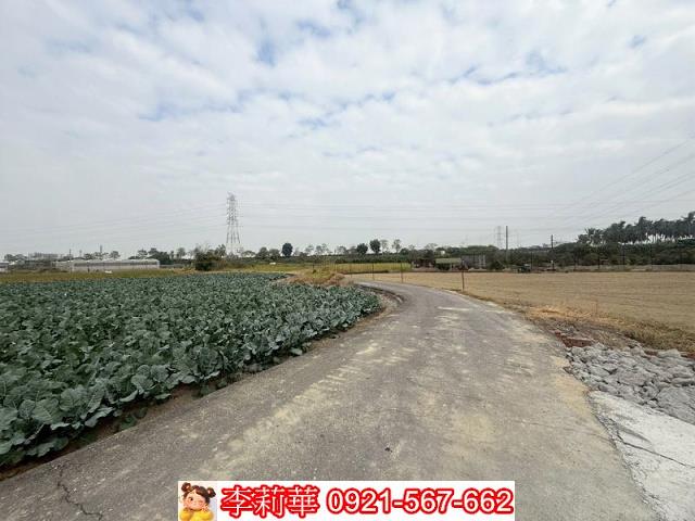 高雄路竹農地-6