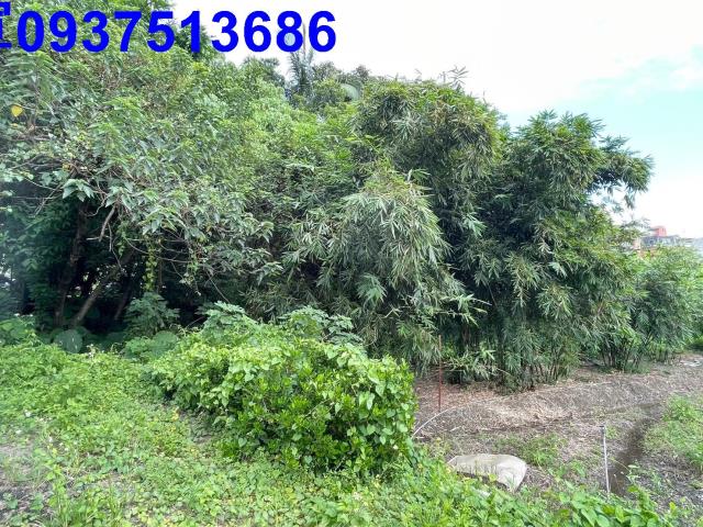 宜蘭頭城建地-4