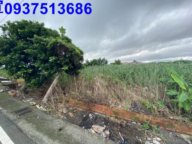 宜蘭壯圍農地-3