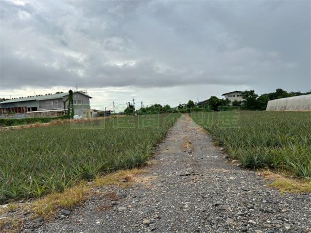 屏東農地-8