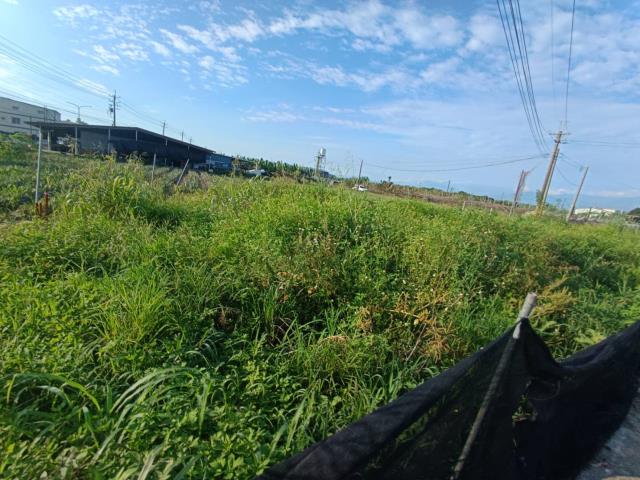 高雄農地-15