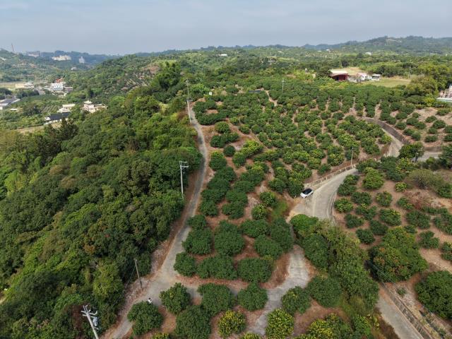 高雄大樹農地-7