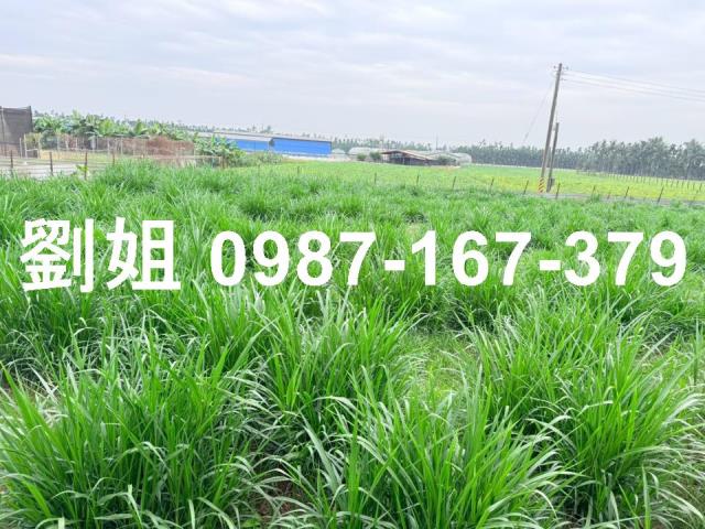 屏東屏東市農地-3